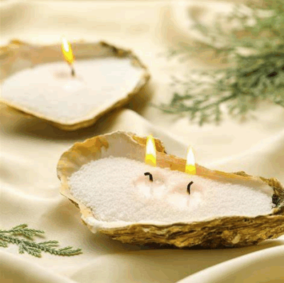 sand candle oyster